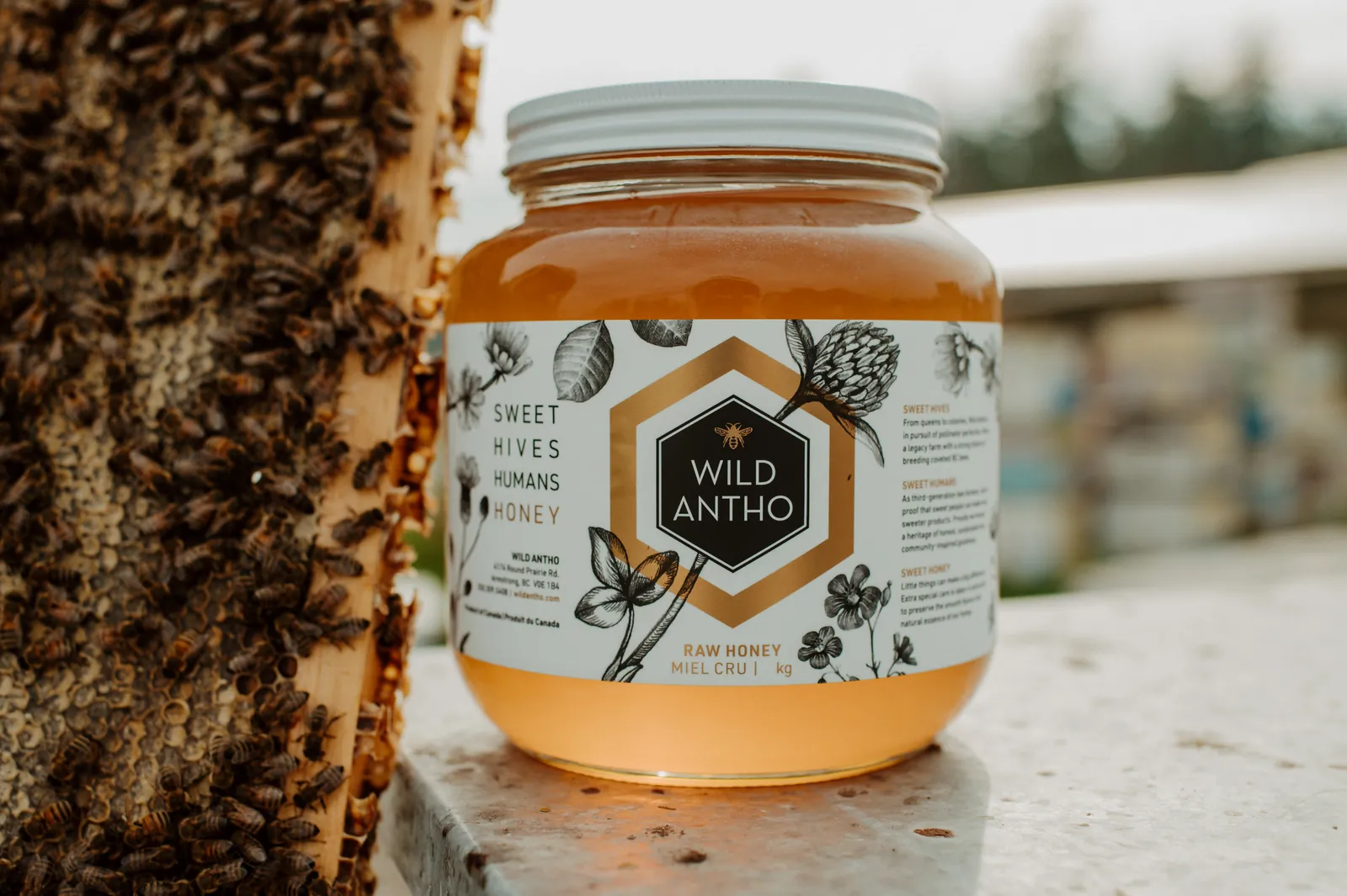 A jar of honey beside a frame covered in bees.