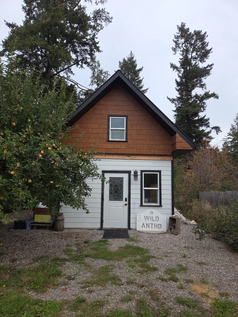 The Wild Antho farm shop on Round Prairie Road, a small white and cedar building with the Wild Antho sign beside the door and an apple tree in fruit.